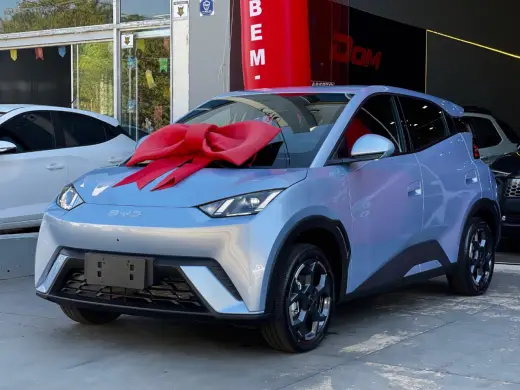 BYD Dolphin Mini