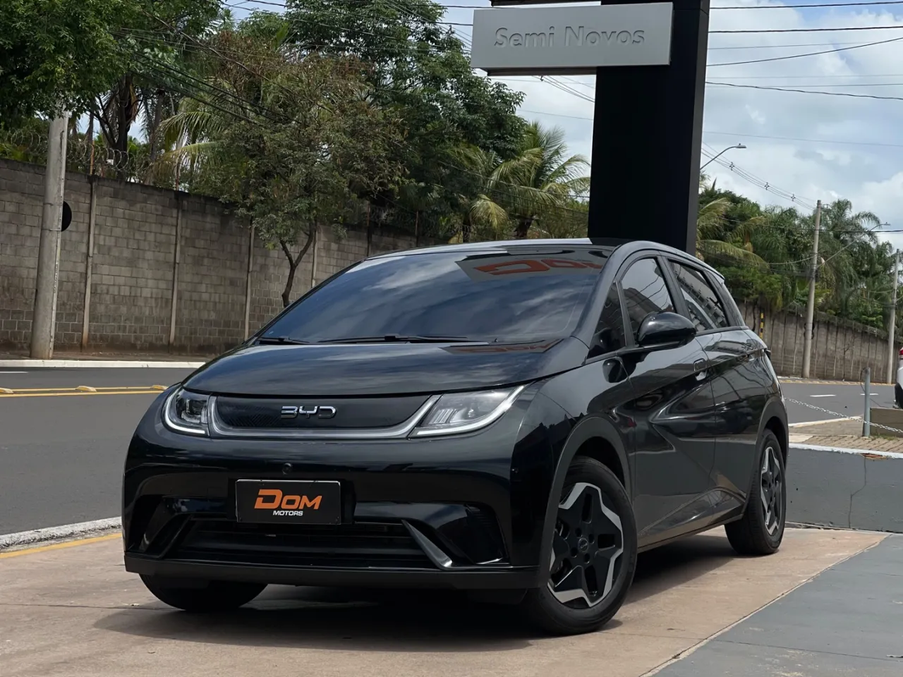 BYD Dolphin